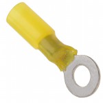 0191640066參考圖片