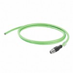 1463650010參考圖片