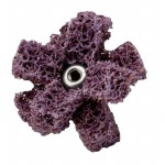 61500295177參考圖片