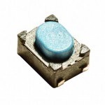 PTS810 SJG 250 SMTR LFS參考圖片