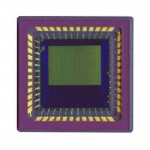 NOIL1SM0300A-WWC參考圖片