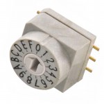 428521320817參考圖片