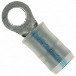 696423-3參考圖片